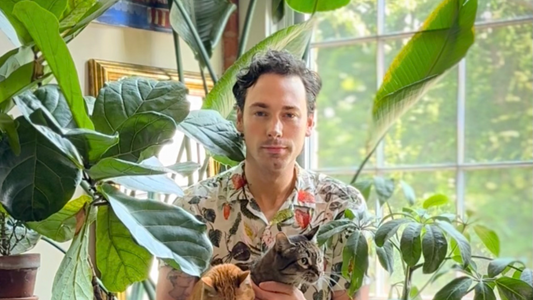 Q&A With A Plant Care Expert