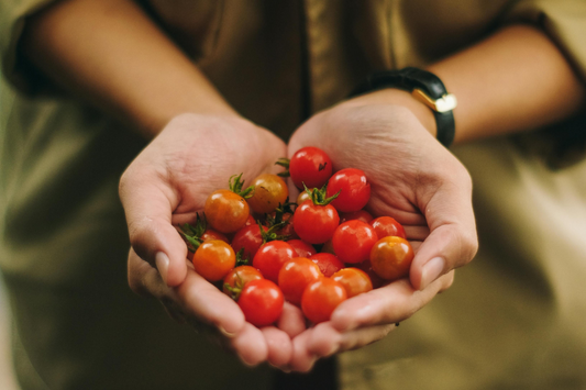 20 Summer Vegetables and Herbs You Can Grow In Pots