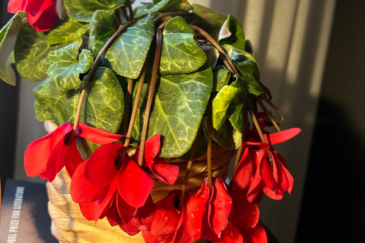 Why Do Flowering Plants Droop? Here's Our Guide To Diagnose!