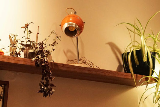 fall houseplant shelf decor