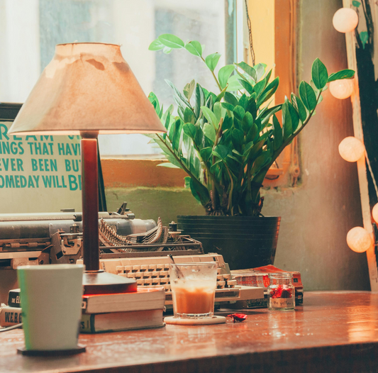5 Ways To Prepare Houseplants For Fall