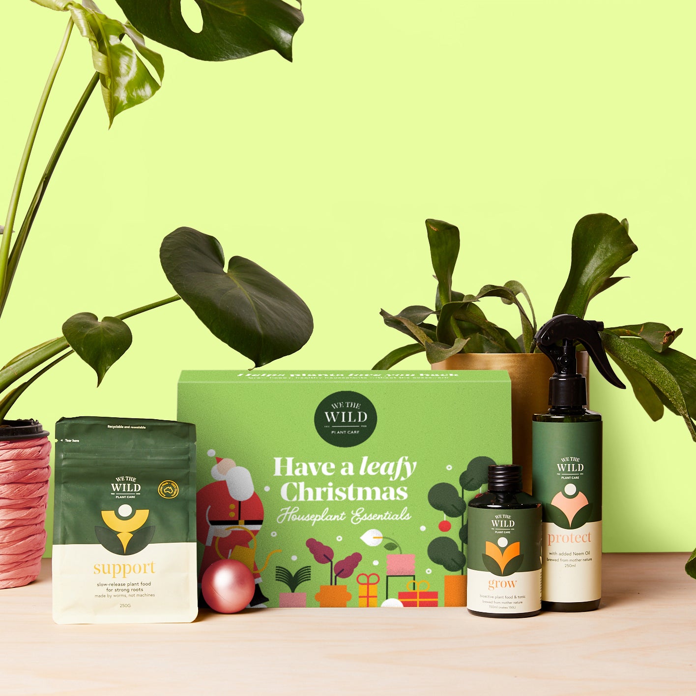 Essential Houseplant Christmas Kit