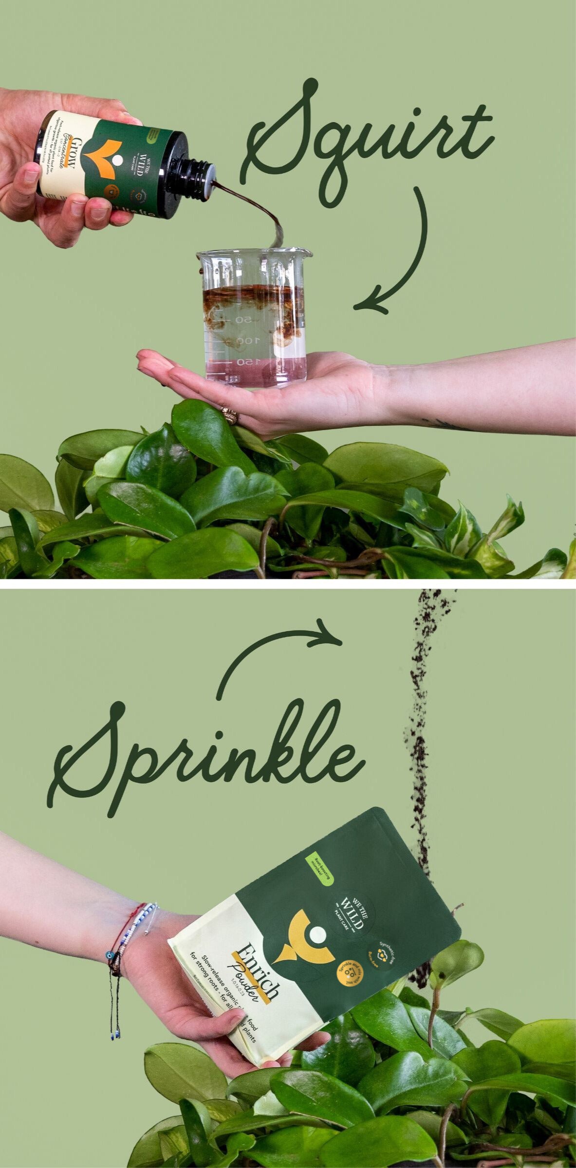 Plant Food Bundle for Houseplants