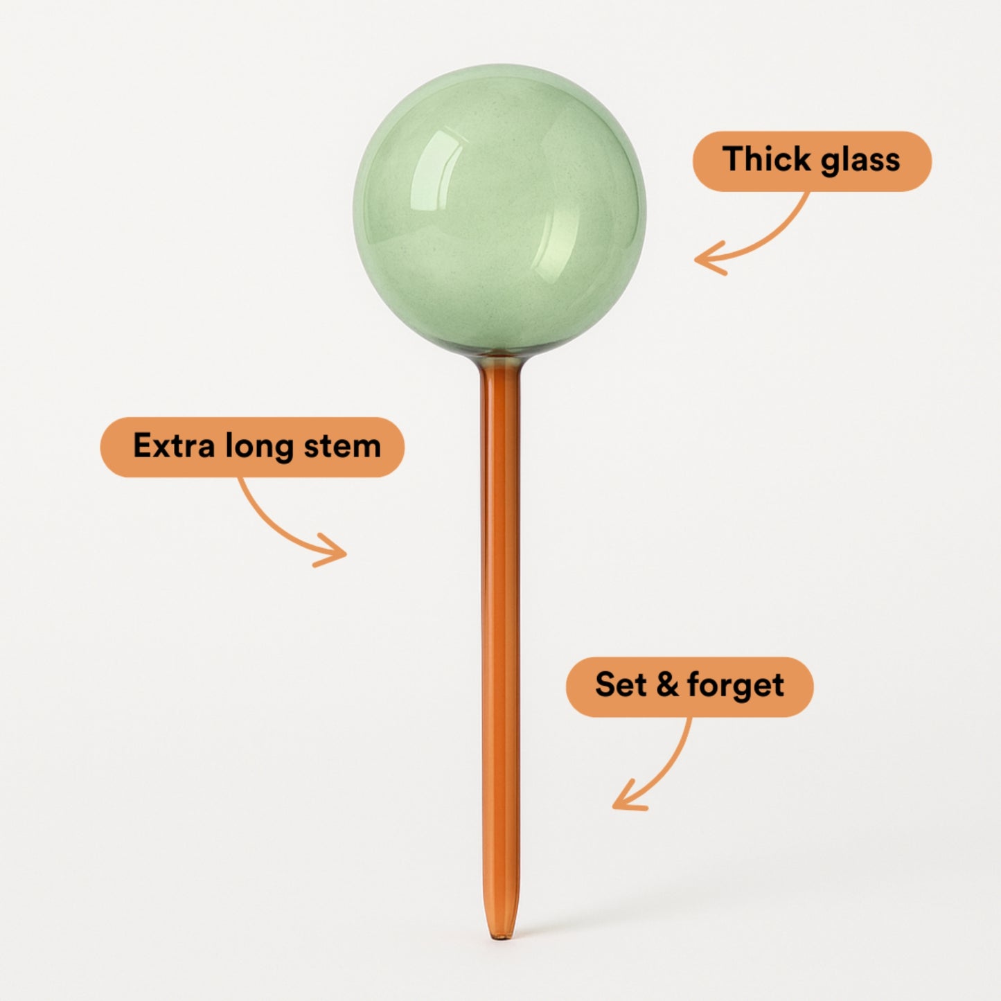 Self-Watering Glass Plant Globes