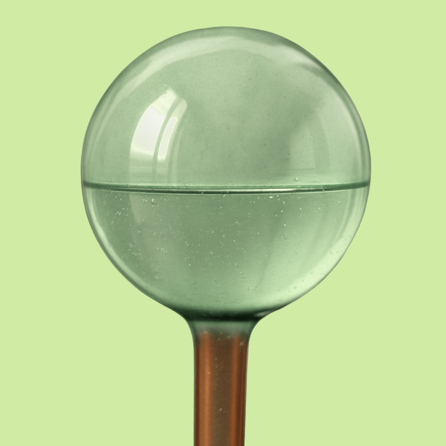 Self-Watering Glass Plant Globes