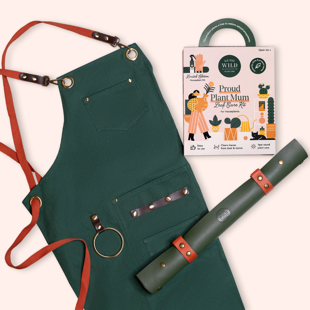 Budding Plant Mom Bundle