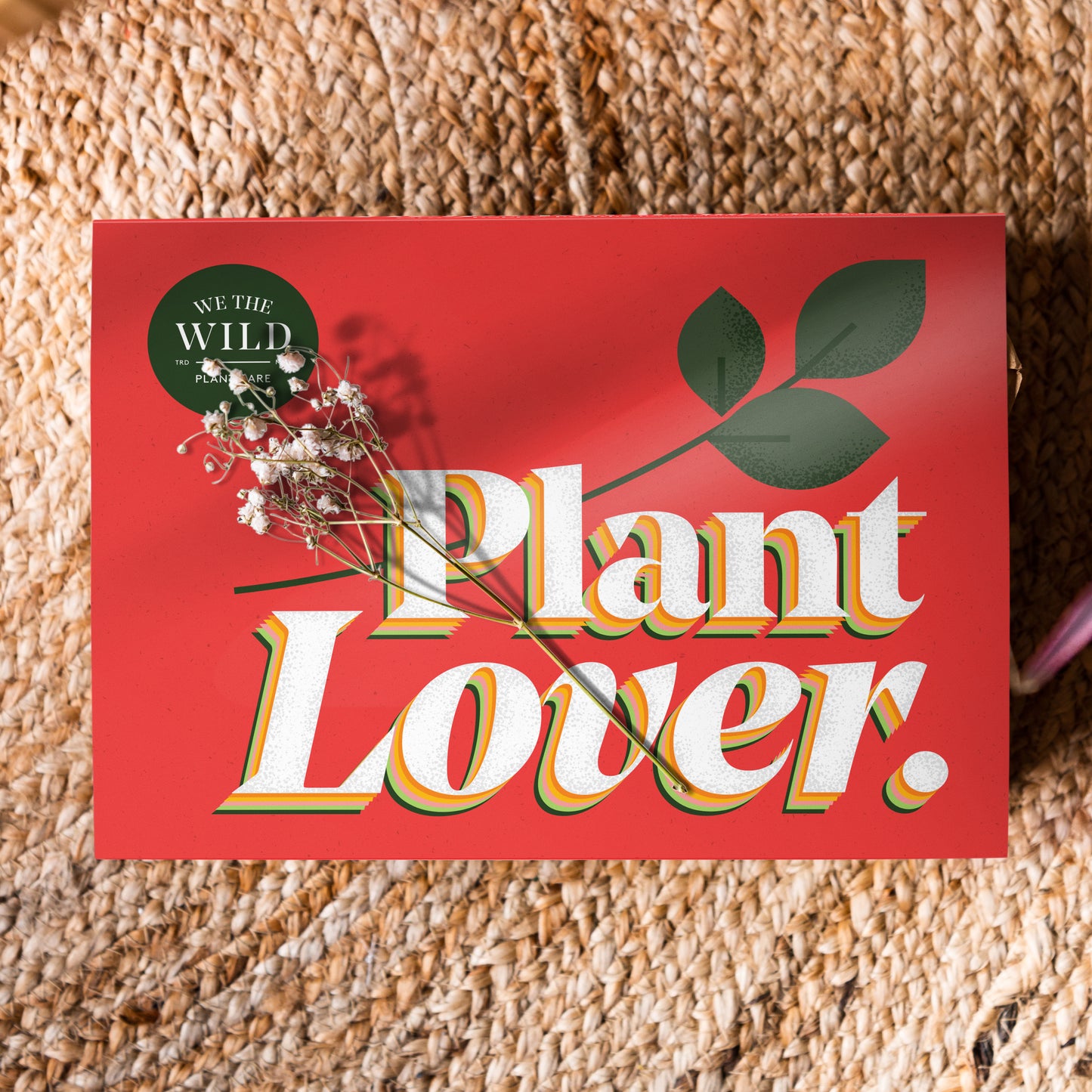 Essential Houseplant Christmas Kit
