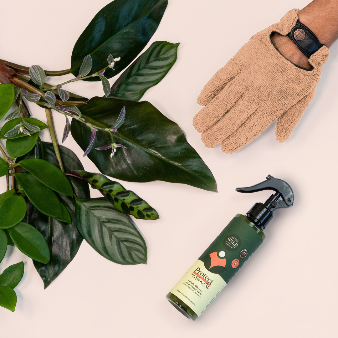 Proud Plant Mum Leaf Care Kit