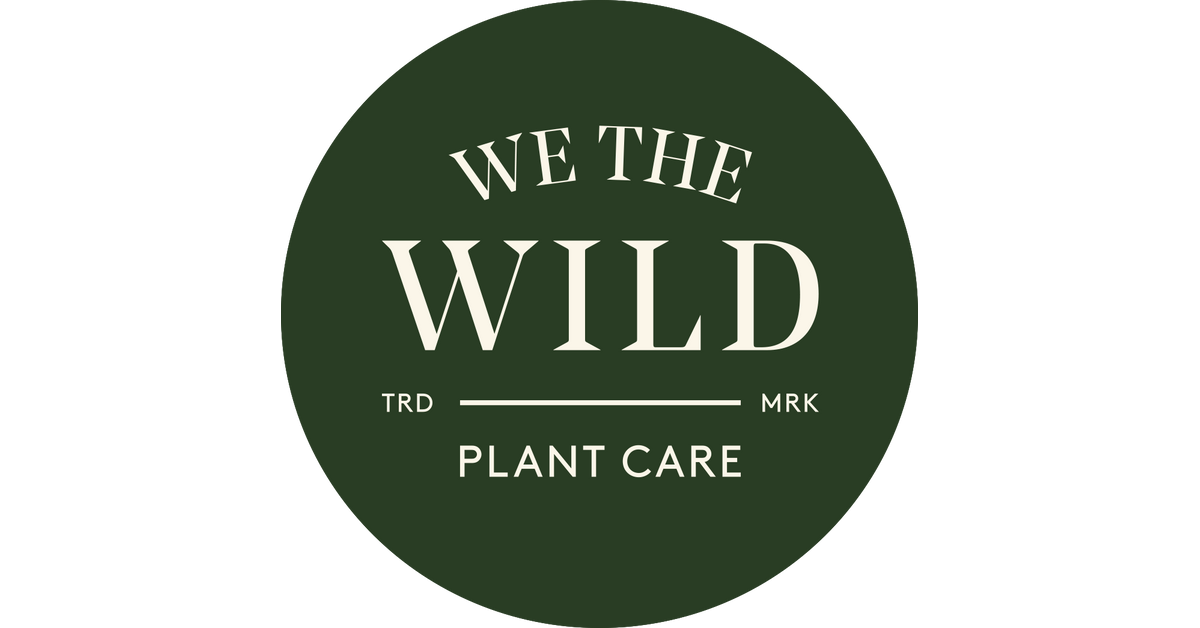 We The Wild Bamboo Scoop - Natural Chemist