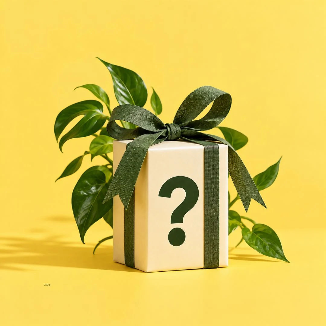Fall Surprise Gift
