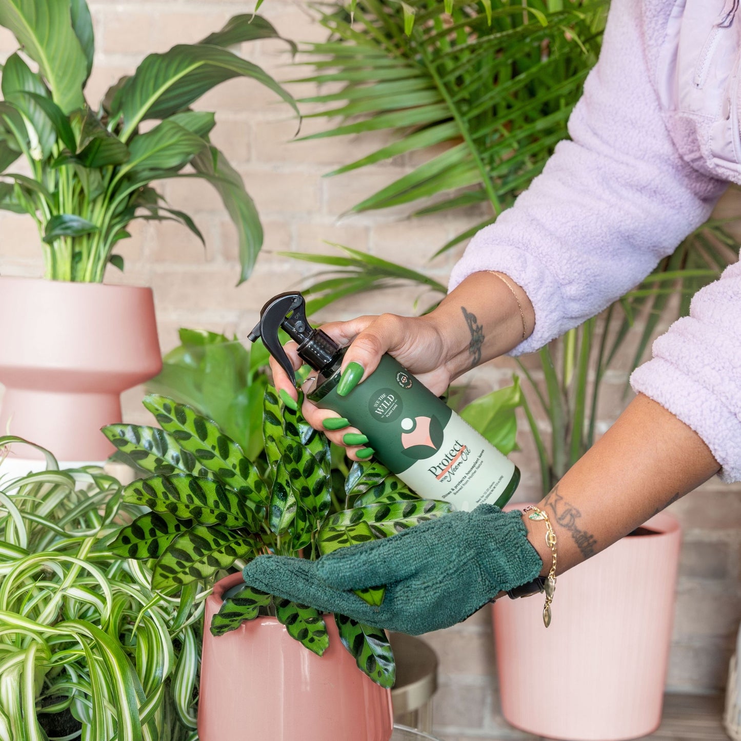 Leaf Protect Kit for Houseplants