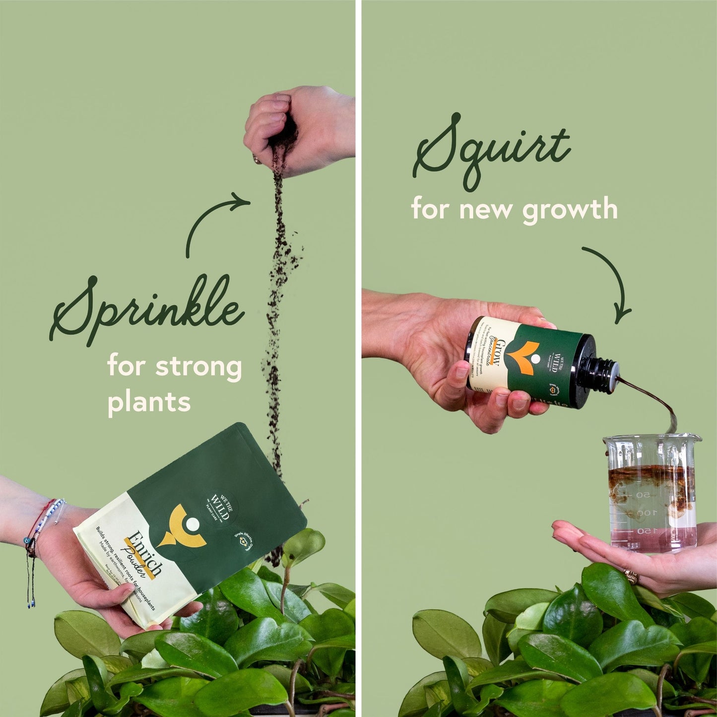 Plant Food Bundle for Houseplants