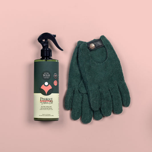 Leaf Protect Kit for Houseplants