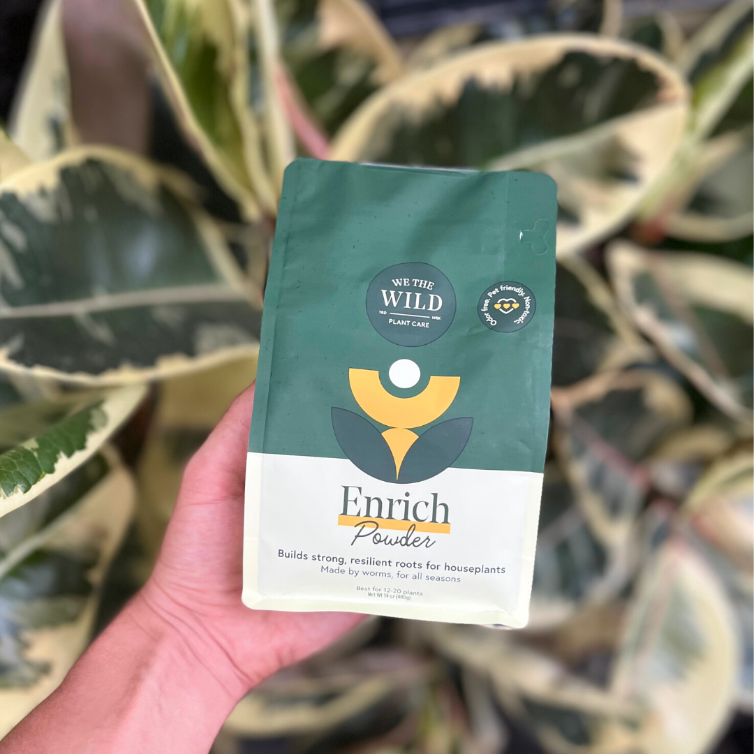 Enrich Powder