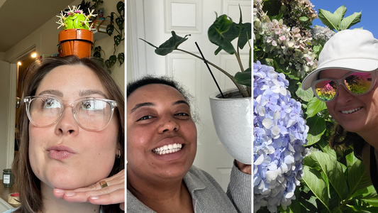 We The Wild's Team as Houseplants