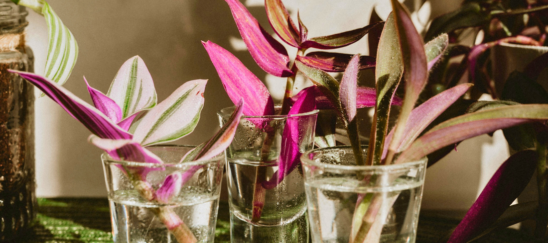 Why Your Propagation Keeps Failing (And How to Fix It)