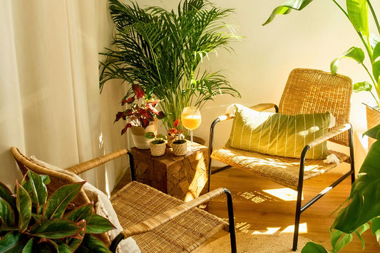 The Must-Have Indoor Plants for 2026