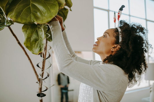 6 of the most common houseplant problems for winter and how to fix them