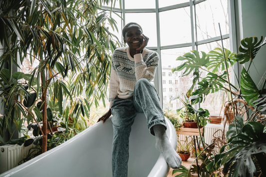 3 Essential January Houseplant Tips For Beginner Indoor Plant Owners