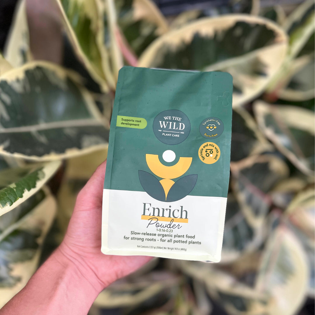 Enrich Slow Release Houseplant Food - Thumbnail 3