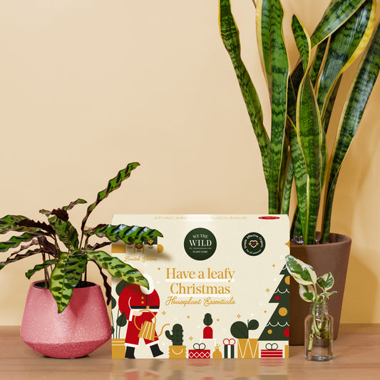 Santa Christmas Plant Care Kit