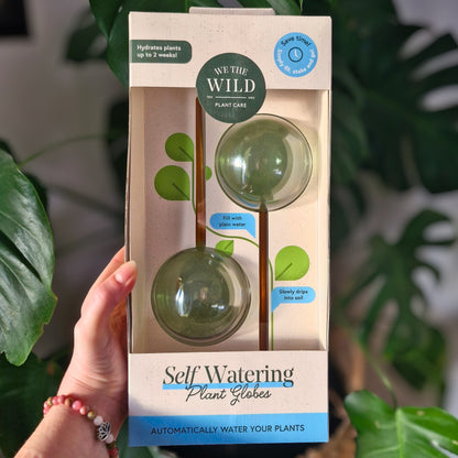 blumat glass plant self watering globes We The Wild Self-Watering Plant Globes