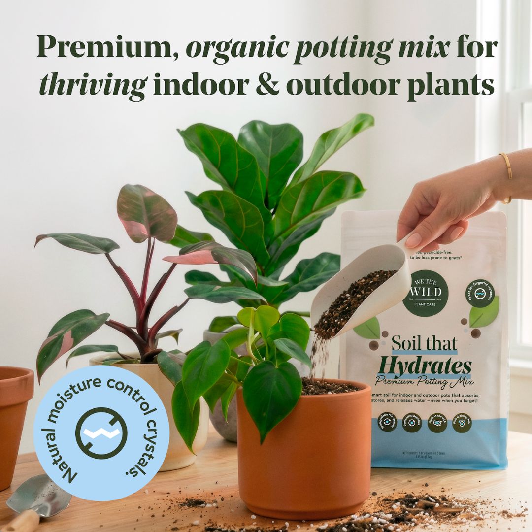Plant Watering Bundle