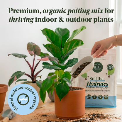 Plant Watering Bundle
