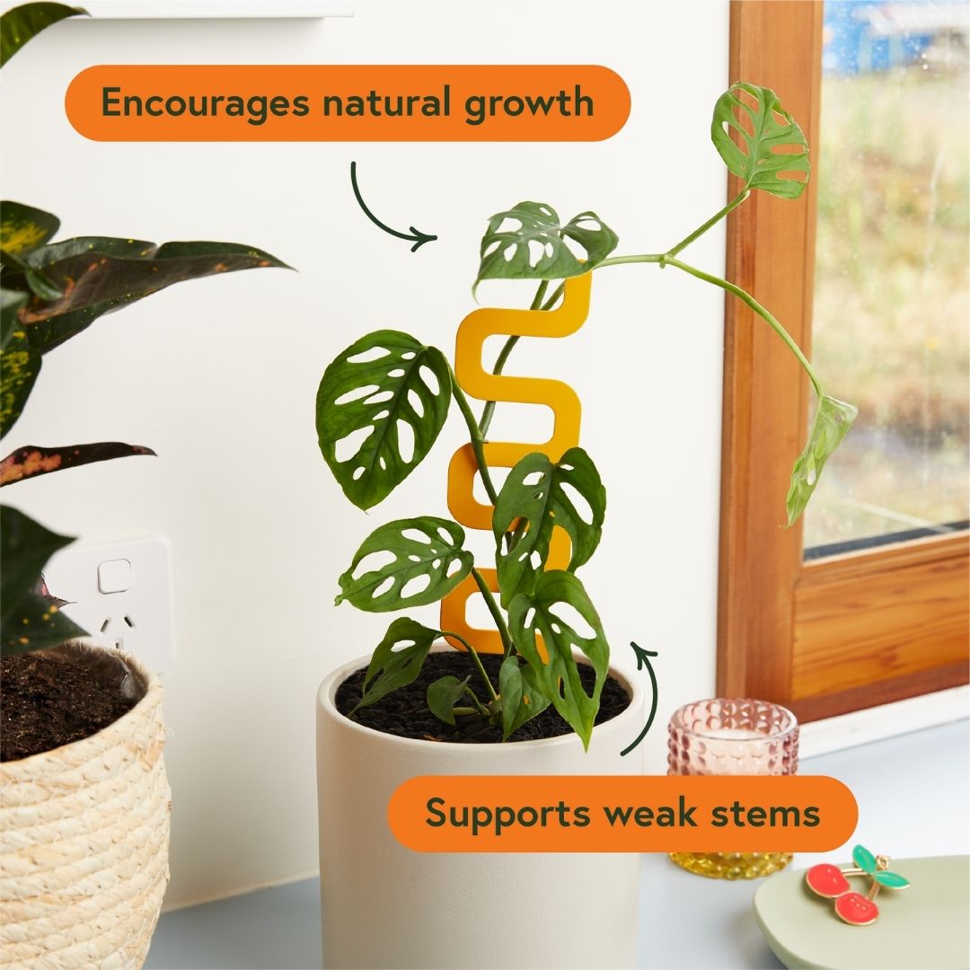 Houseplant Grow Pole For Climbing Plants