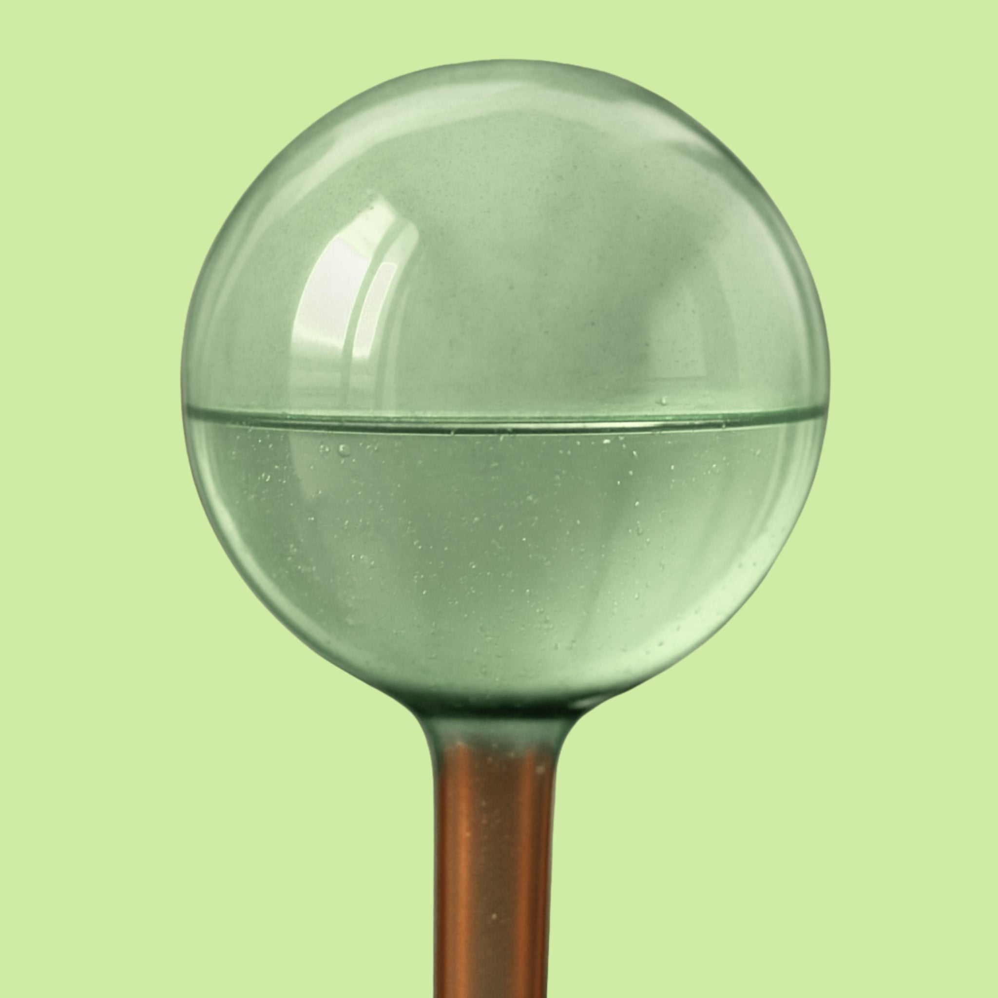 Self-Watering Plant Globes - Thumbnail 2