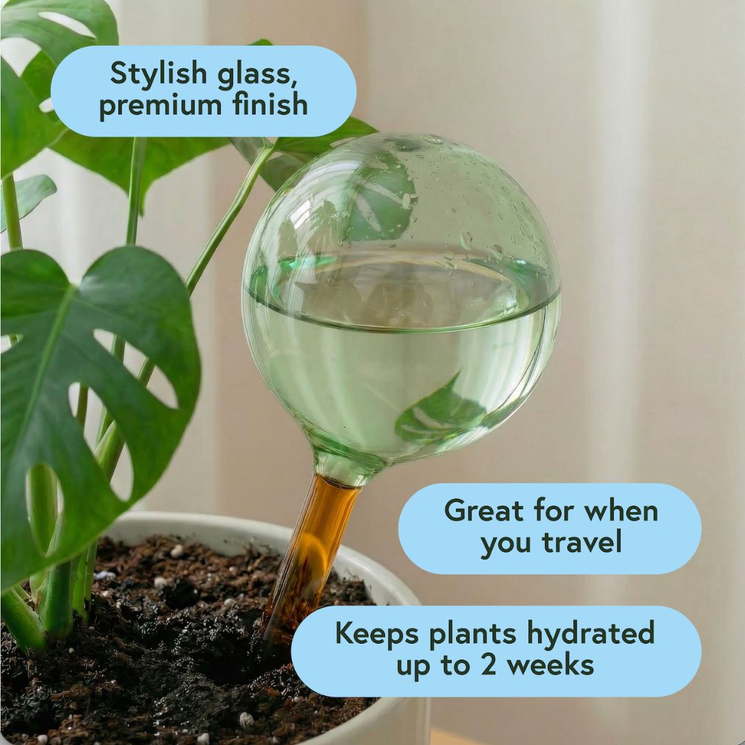 Plant Watering Bundle