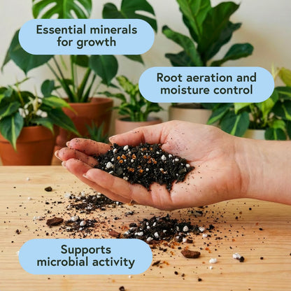 Plant Watering Bundle