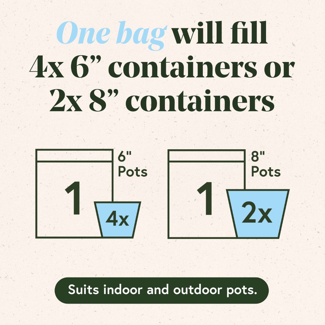Plant Watering Bundle