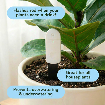 Plant Watering Bundle
