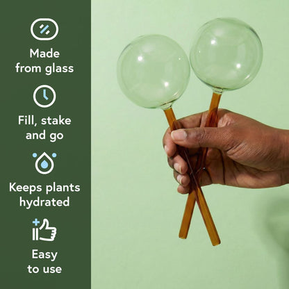 Plant Watering Bundle