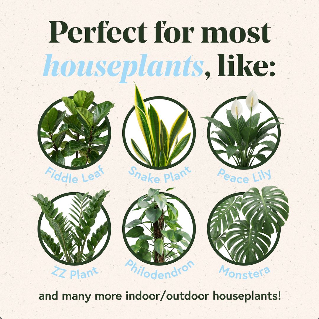 Plant Watering Bundle