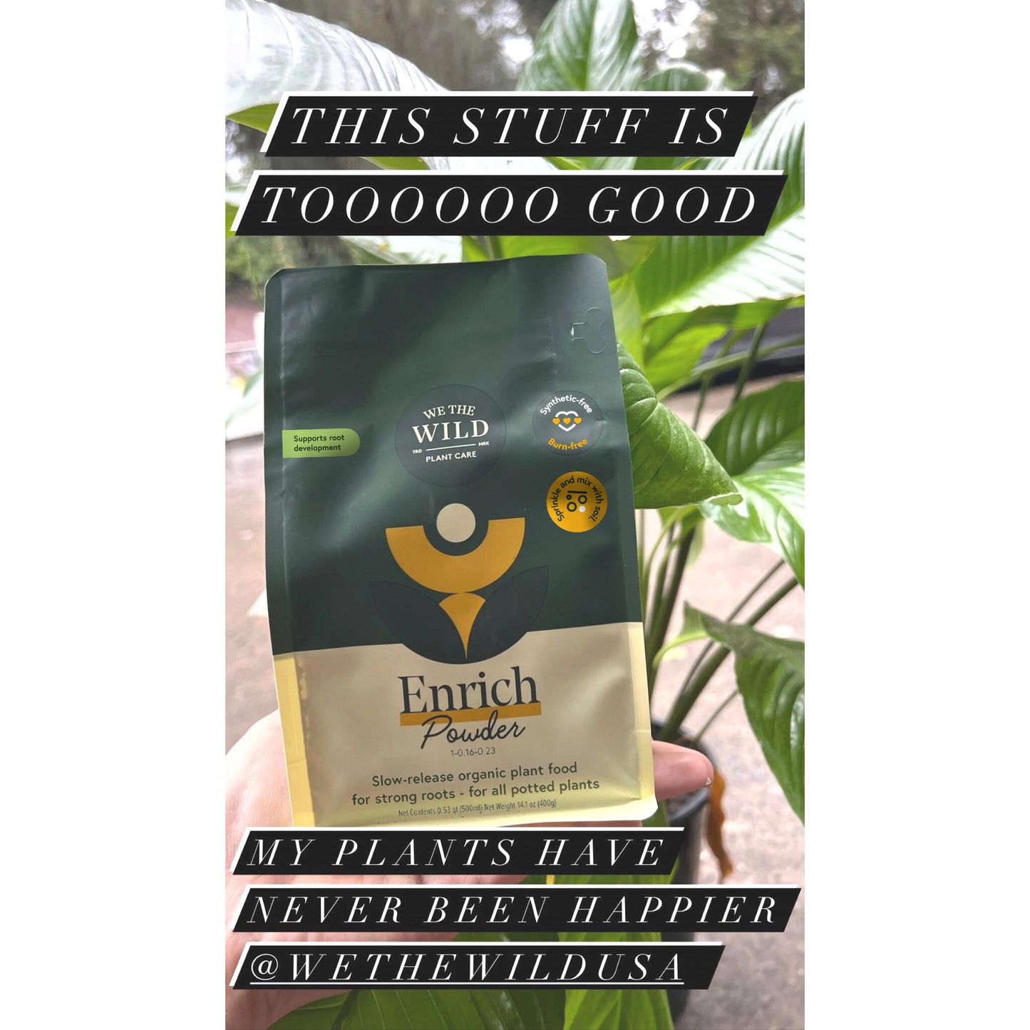 Enrich Slow Release Houseplant Food