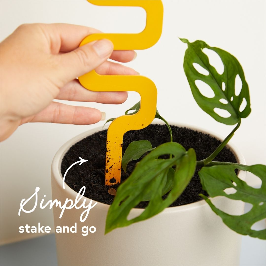 Houseplant Grow Pole For Climbing Plants