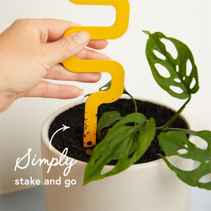 Houseplant Grow Pole For Climbing Plants