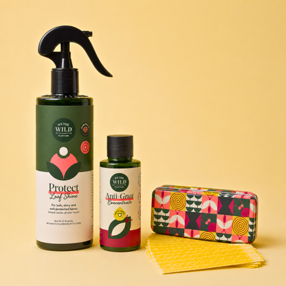 Fungus Gnat Fixer