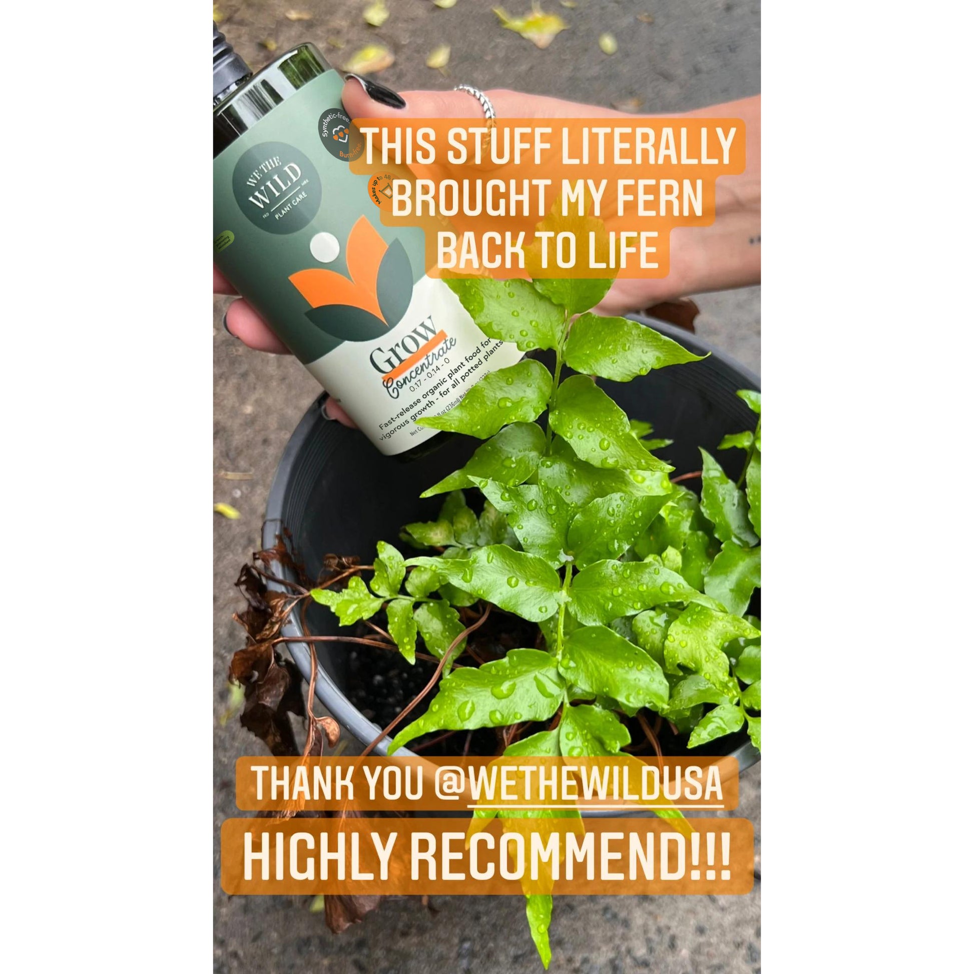 food for potted plants Indoor Plant Food | Organic Grow Concentrate