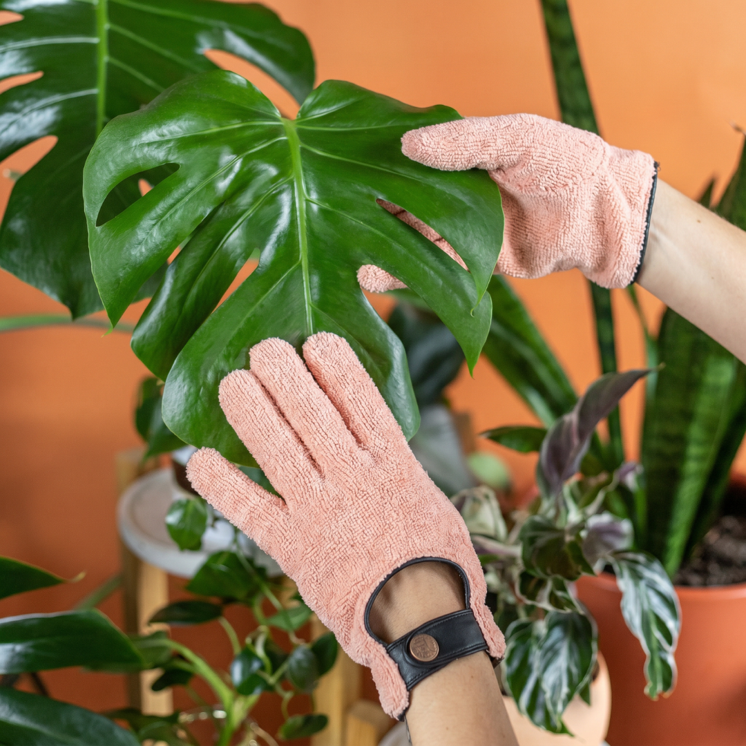 Leaf Cleaning Gloves (Pink)