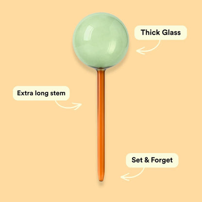 Self-Watering Globes - Glass