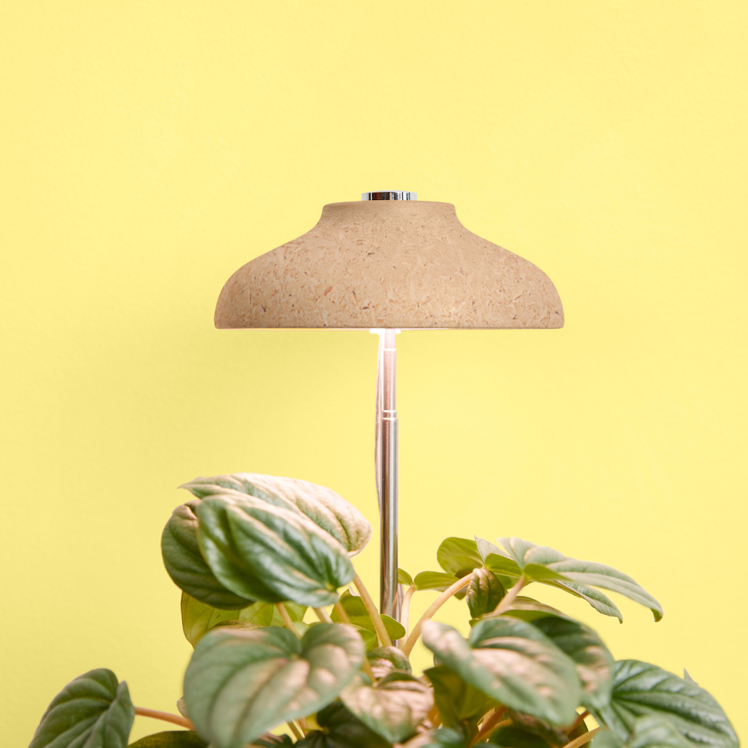 Instant Sun Houseplant Grow Lamp
