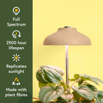 Instant Sun Houseplant Grow Lamp