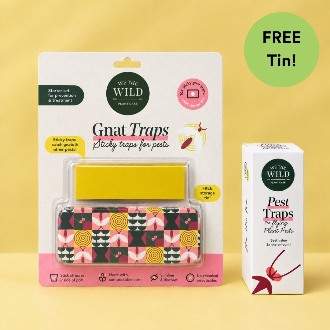 Fungus Gnat Compostable Traps