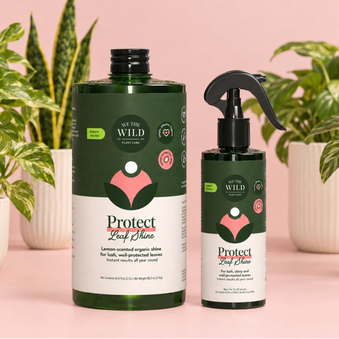 Protect Leaf Spray with Neem Oil
