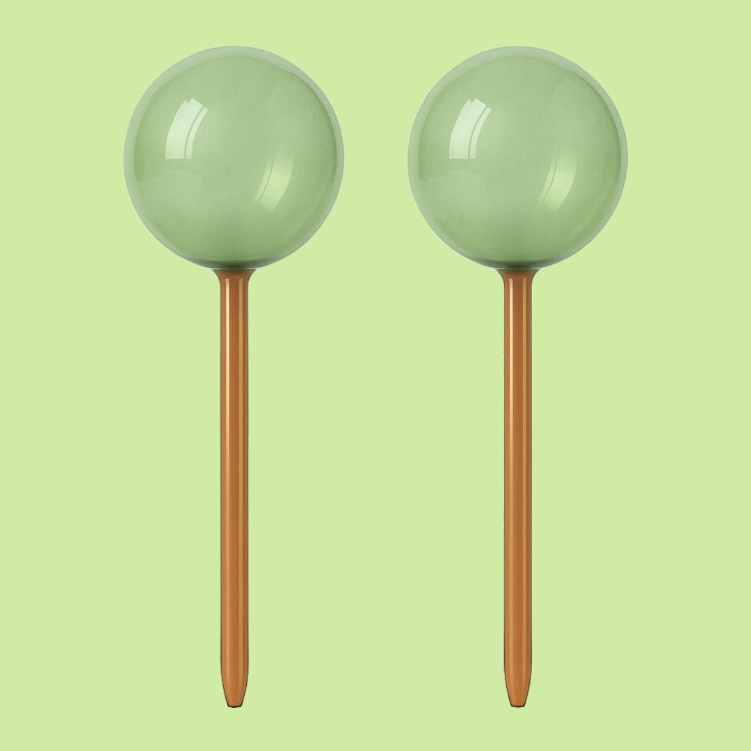 Self-Watering Globes - Glass