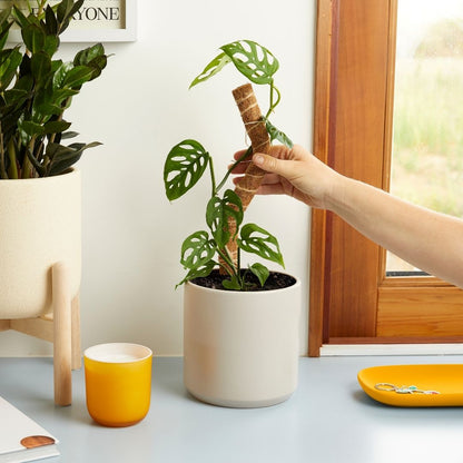 Coco Climber Grow Pole
