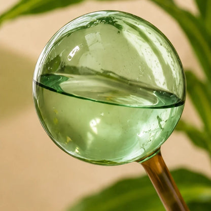 Self-Watering Globes - Glass